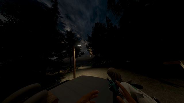 Riding along a forest road at night